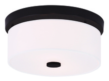 Livex Lighting 50862-07 - 2 Light Bronze Ceiling Mount