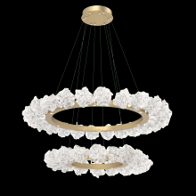 Hammerton CHB0059-2B-GB-BC-CA1-L3 - Blossom Two-Tier Ring