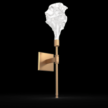Hammerton IDB0059-21-GP-BC-L1 - Blossom Belvedere Sconce