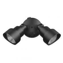 Acclaim Lighting LFL2BK - 2-Light LED Floodlight