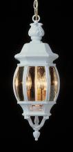 Trans Globe 4066 WH - 3LT MED HANGING LANTERN-OUTD-B