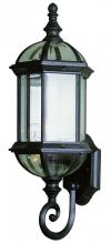 Trans Globe 4180 BK - 1LT SCROLL UP ARM LANTERN-BEVE