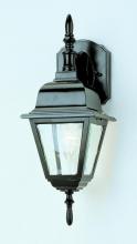 Trans Globe 4411 BK - 1 LT WALL-DOWN-OUTDOOR
