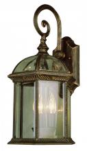 Trans Globe 44181 WH - 3LT WALL-MED-OUTD-BEVELED GLAS