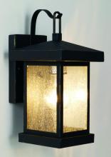 Trans Globe 45640 WB - 1LT WALL-DOWN-SEEDED GLASS
