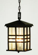 Trans Globe 4638 WB - 2LT MD HANGING-OUTDOOR-MISSION