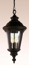 Trans Globe 50491 BK - 3LT LARGE HANGING OUTDOOR -SEE