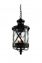 Trans Globe 5124 ROB - 3 LT HANGER- OUTDOOR- X
