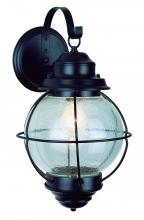 Trans Globe 69900 BK - 1 LT SMALL WALL-OUTDOOR-ONION