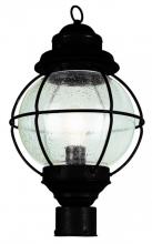 Trans Globe 69902 BK - 1 LT MED POST-OUTDOOR-ONION