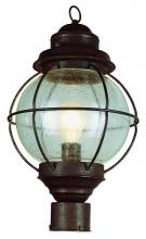Trans Globe 69902 RBZ - 1 LT MED POST-OUTDOOR-ONION
