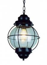 Trans Globe 69903 RBZ - 1 LT MED HANGING-OUTDOOR-ONION