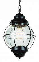 Trans Globe 69906 RBZ - 1 LT LG HANGING-OUTDOOR-ONION
