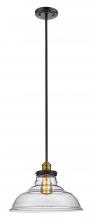 Trans Globe 70824 ROB - 1LT PENDANT LRG-INDUSTRIAL-ROB