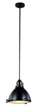 Trans Globe PND-1005 WB - 1LT PENDANT-RETRO INDUST-MD-WB