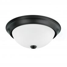 Capital 214722BZ - 2 Light Flush Mount